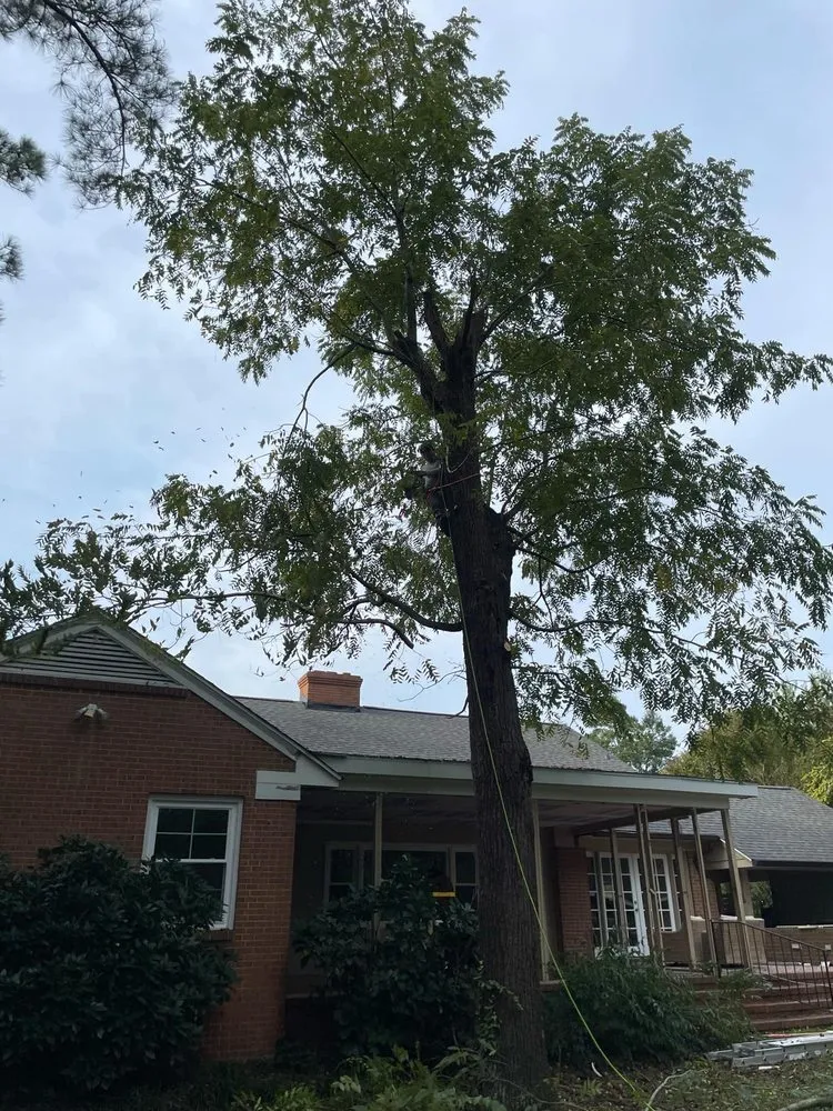 Custom lawn mowing service for outdoor upgrades in Raleigh, NC by Dayana's Landscaping