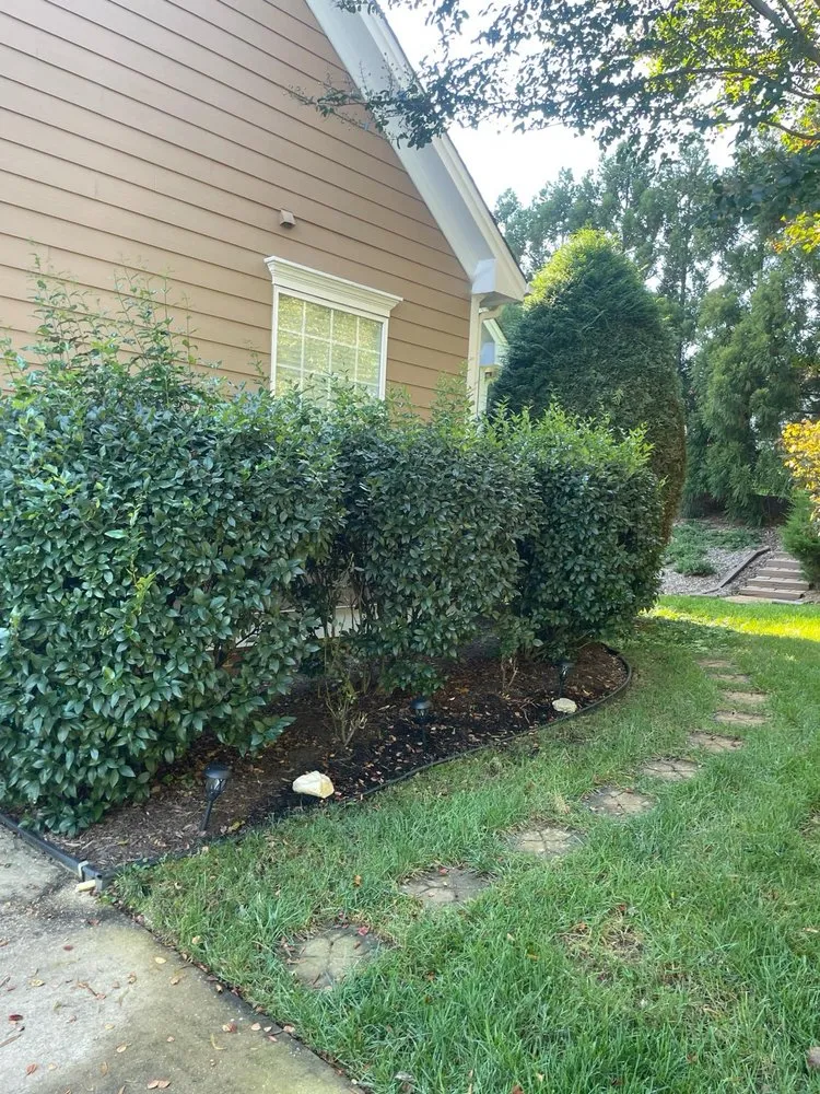 Custom residential landscaping for residential properties across Raleigh, NC - Dayana's Landscaping