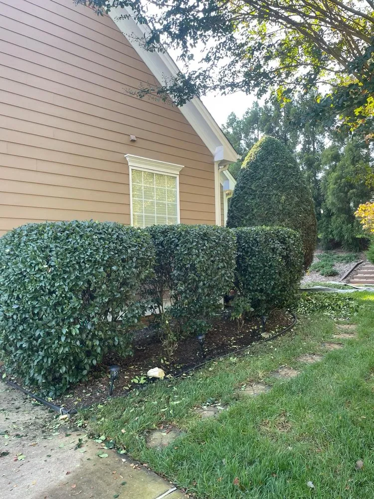 Professional landscape design with custom design in Raleigh, NC by Dayana's Landscaping