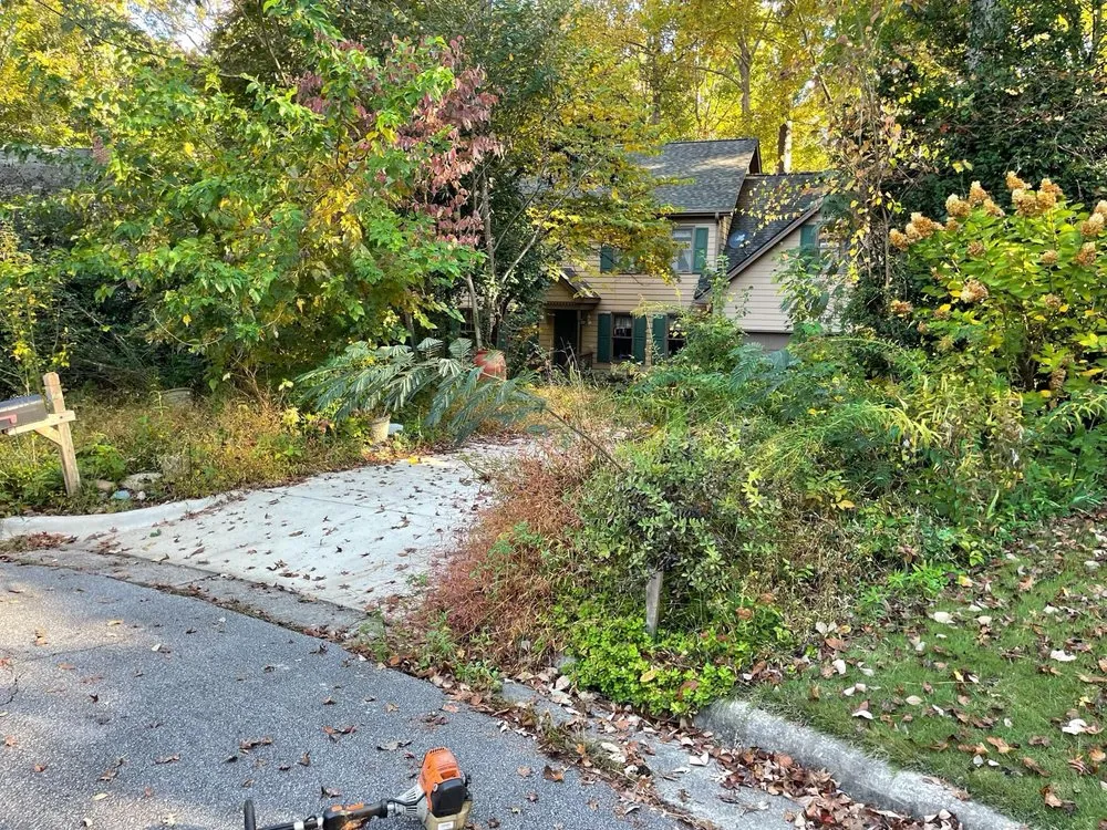 Expert outdoor landscaping in Raleigh, NC - Dayana's Landscaping