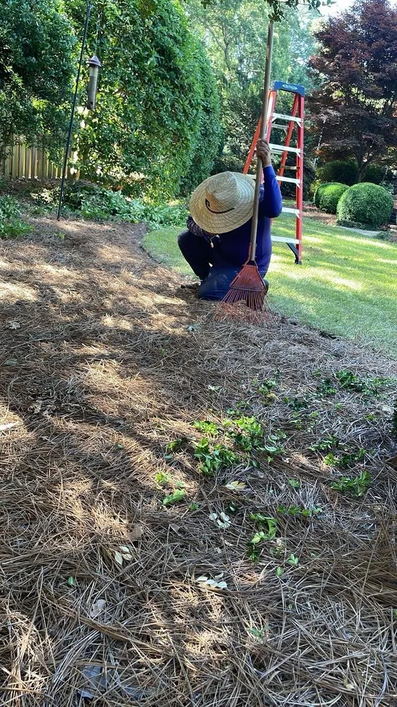 Custom landscaping services for outdoor upgrades across Raleigh, NC - Dayana's Landscaping