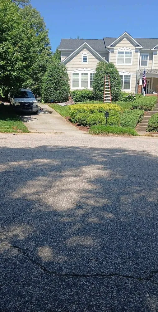 Trusted yard cleanup service experts serving Raleigh, NC - Dayana's Landscaping