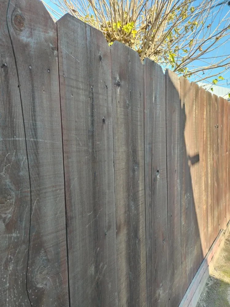 Top-rated yard cleanup service for year-round maintenance across Lindsay, CA - Dayannas Lawn And Small Jobs Repairs