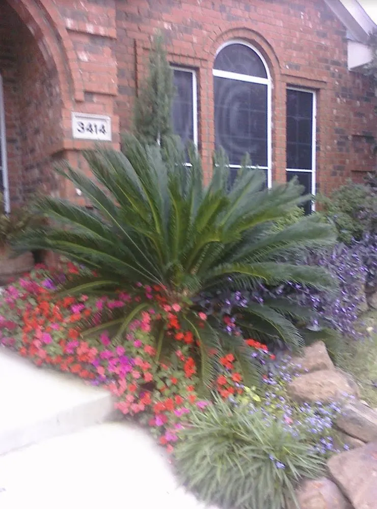 Local residential landscaping experts serving Fort Worth, TX - Daybreak Landscaping & Irrigation