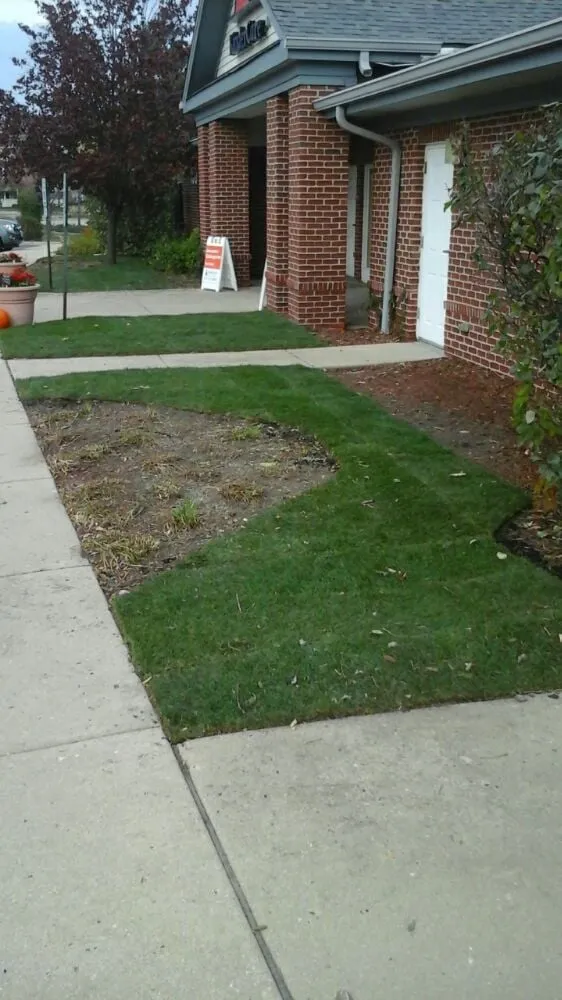 Affordable yard cleanup service in Union, IL by Daybreaker Landscapes