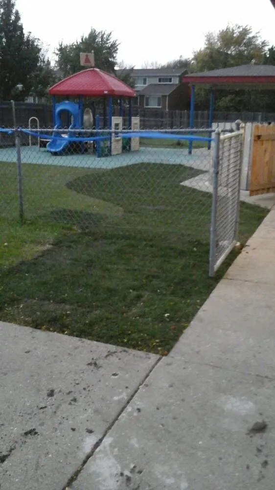 Custom yard cleanup service experts serving Union, IL - Daybreaker Landscapes