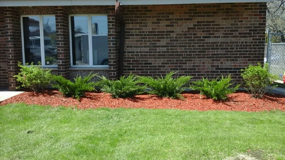 Affordable yard cleanup service for year-round maintenance across Union, IL - Daybreaker Landscapes