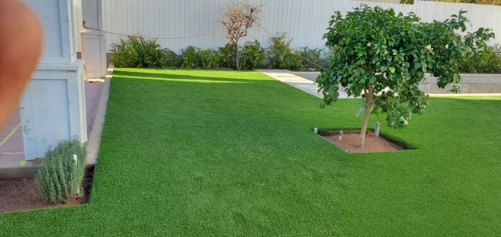 Reliable yard cleanup service in Bloomington, CA by Daydream Exteriors