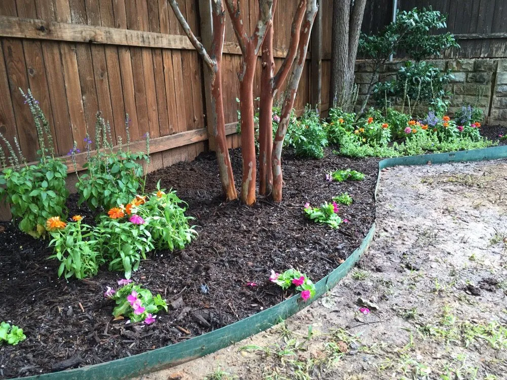 Professional yard maintenance for beautiful yards in Sanger, TX by Daydreamers Outdoor Living and Design