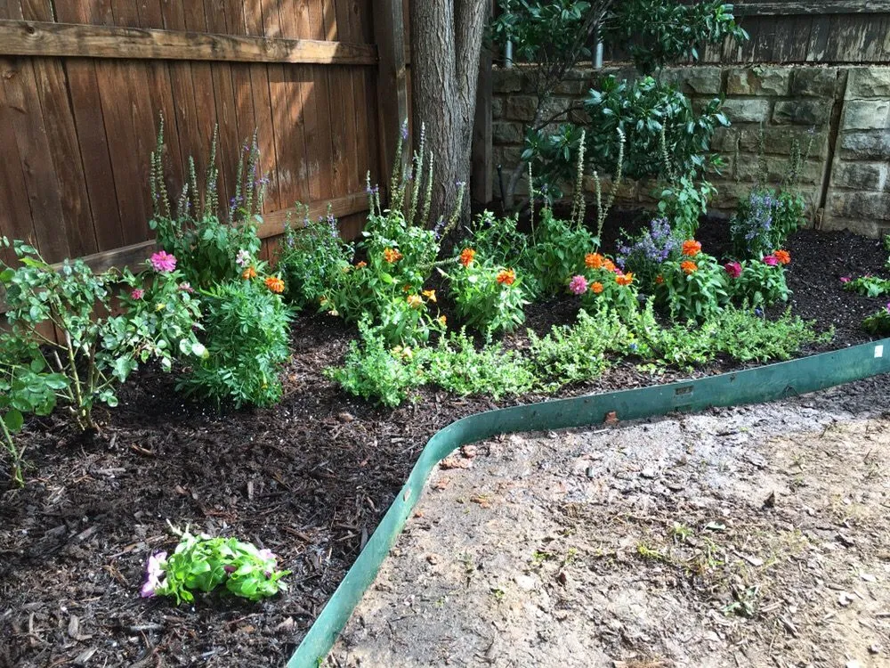 Professional landscape installation experts serving Sanger, TX - Daydreamers Outdoor Living and Design