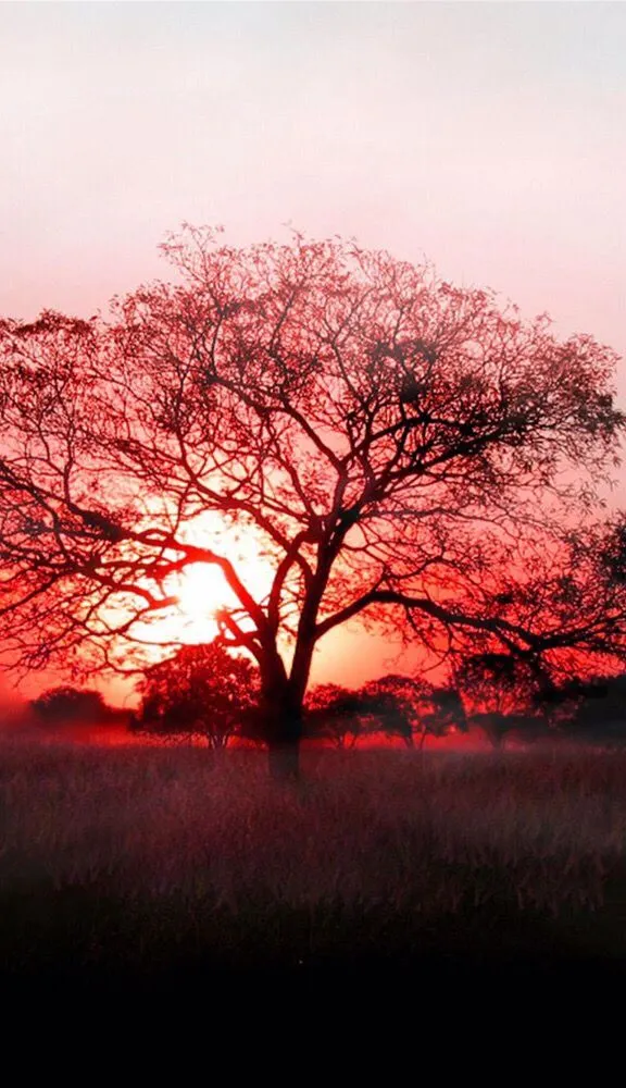 Top-rated yard cleanup service in Sanger, TX - Daydreamers Outdoor Living and Design