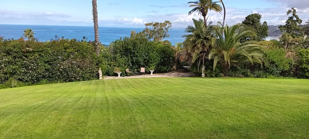 Trusted lawn mowing service experts serving San Diego, CA - Daygo's Landscape