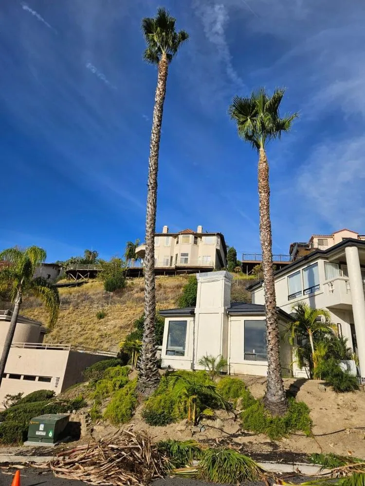 Trusted landscaping services experts serving San Diego, CA - Daygo's Landscape