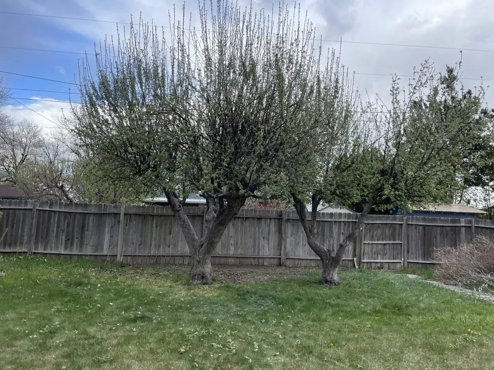 Top-rated landscape installation in Heyburn, ID - Dayley Landscaping