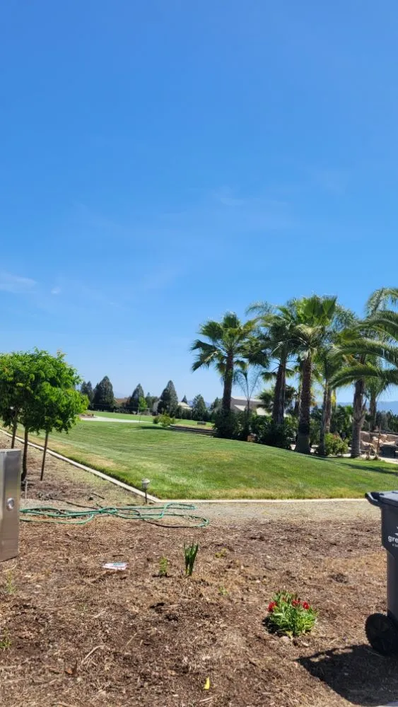 Affordable landscaping services experts serving Gilroy, CA - Daylight Landscaping Services
