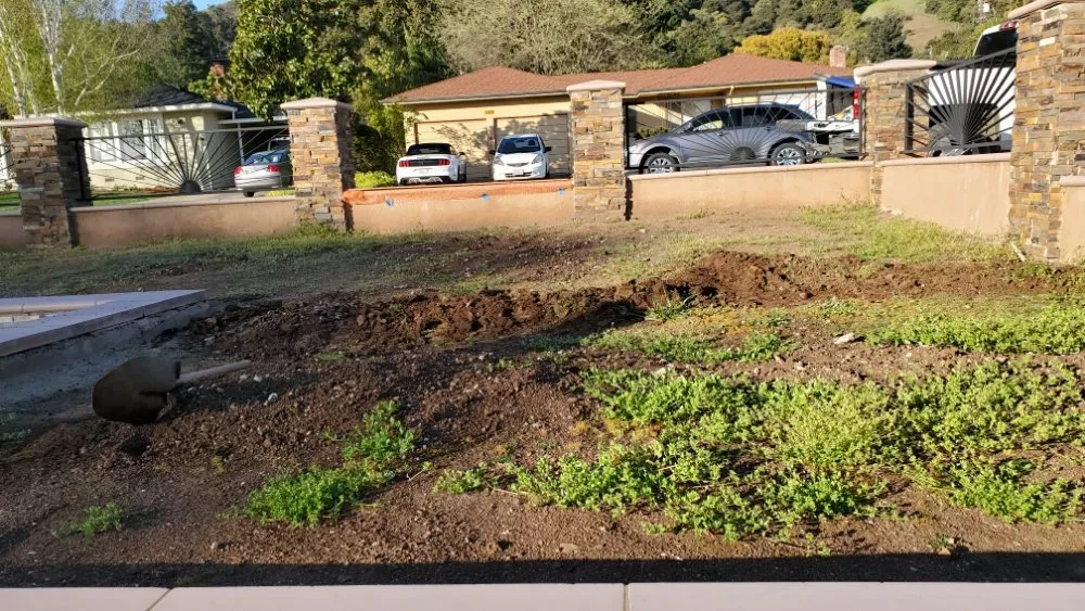 Top-rated landscape installation for year-round maintenance in Gilroy, CA by Daylight Landscaping Services