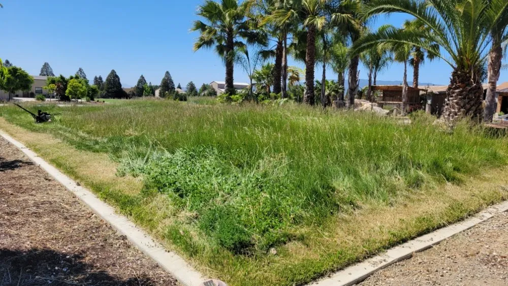 Expert garden landscaping experts serving Gilroy, CA - Daylight Landscaping Services