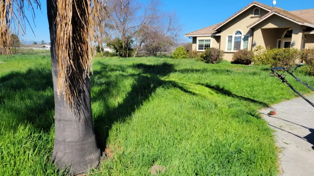 Expert landscaping services experts serving Gilroy, CA - Daylight Landscaping Services