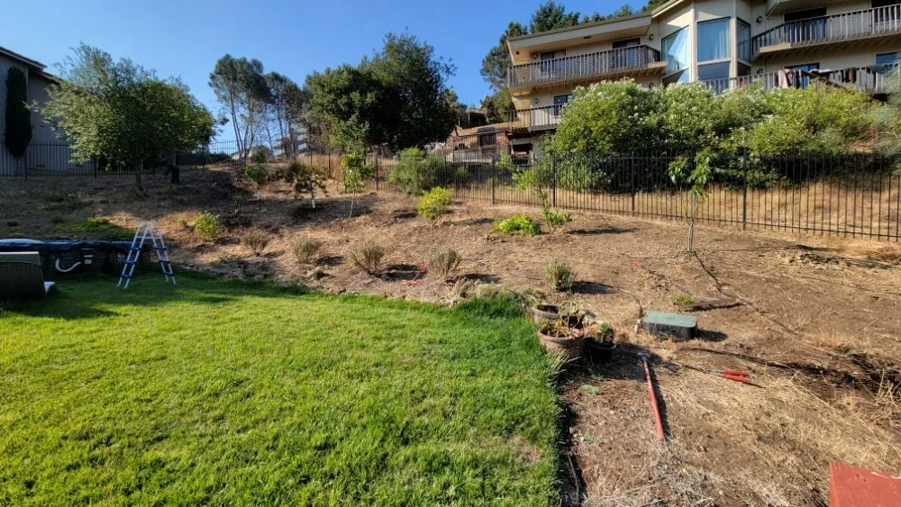 Local outdoor landscaping for beautiful yards across Gilroy, CA - Daylight Landscaping Services