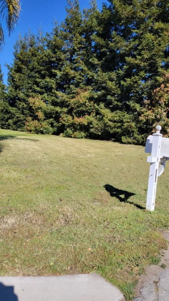 Top-rated landscaping services experts serving Gilroy, CA - Daylight Landscaping Services