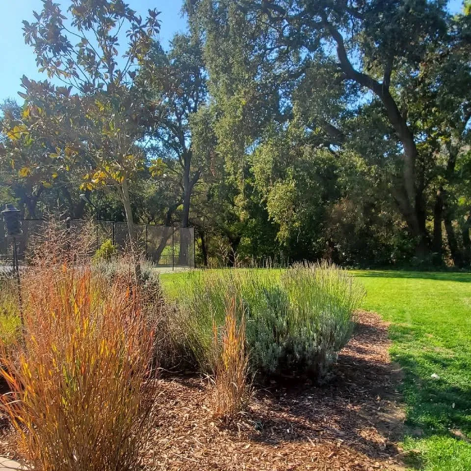 Expert garden landscaping experts serving Gilroy, CA - Daylight Landscaping Services