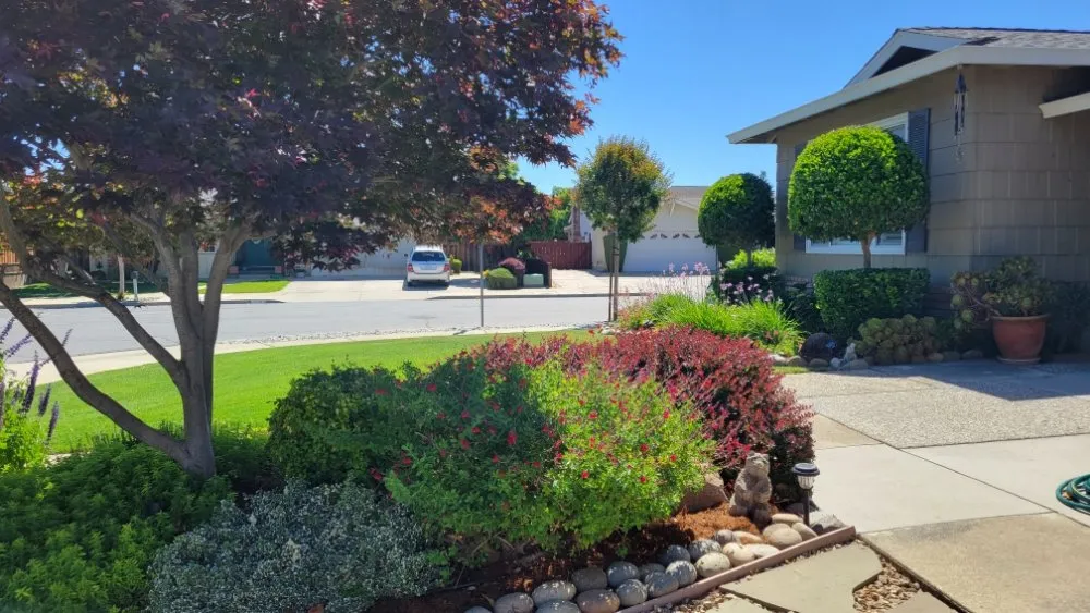 Professional landscape installation experts serving Gilroy, CA - Daylight Landscaping Services