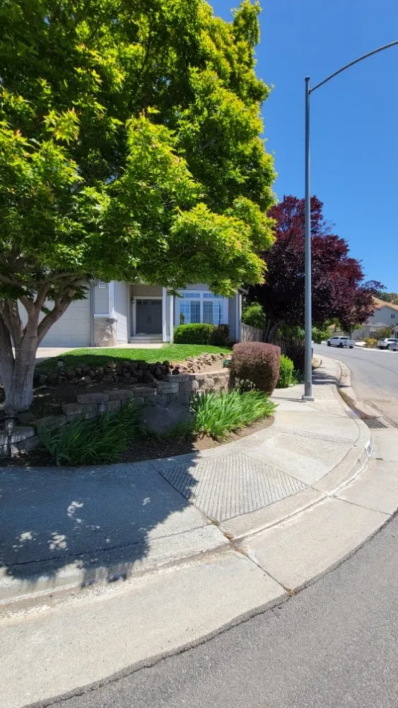 Local landscape design experts serving Gilroy, CA - Daylight Landscaping Services