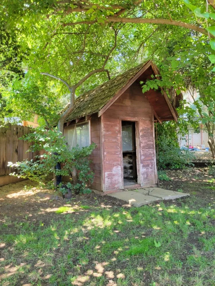 Local landscaping services in Gilroy, CA by Daylight Landscaping Services