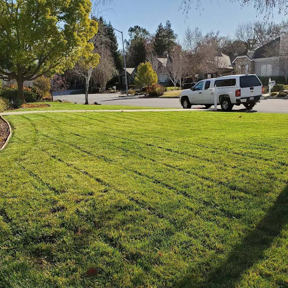 Local yard maintenance in Gilroy, CA - Daylight Landscaping Services