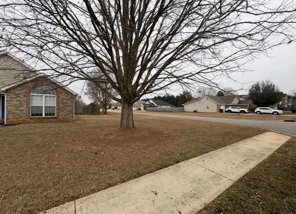 Affordable outdoor landscaping in Bonaire, GA by Day’s Landscaping 478