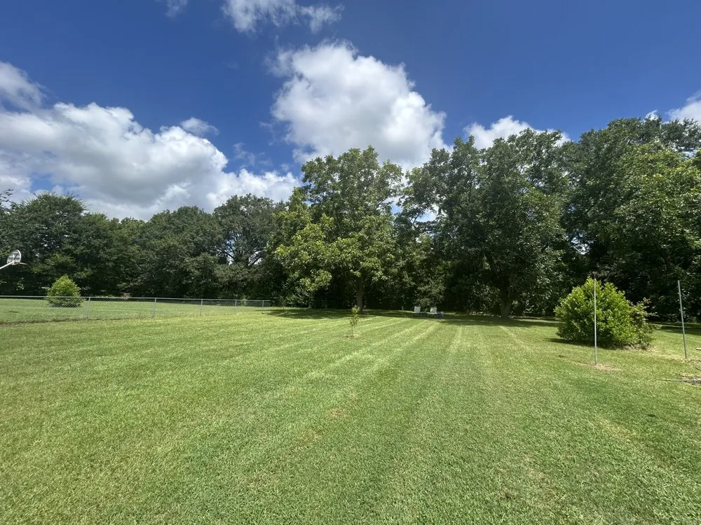 Expert lawn care service for year-round maintenance across Bonaire, GA - Day’s Landscaping 478