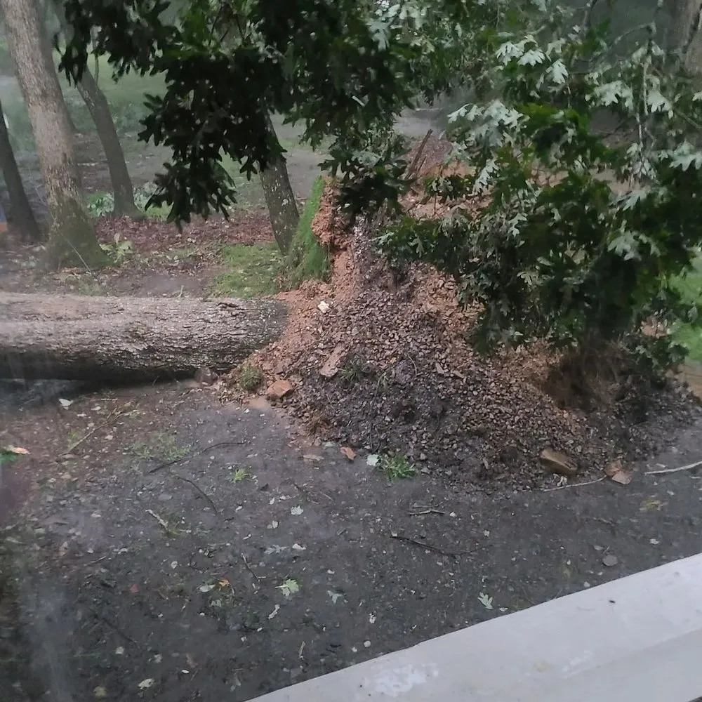 Local landscape installation in Jim Thorpe, PA - Day's Landscaping and Storage Solutions