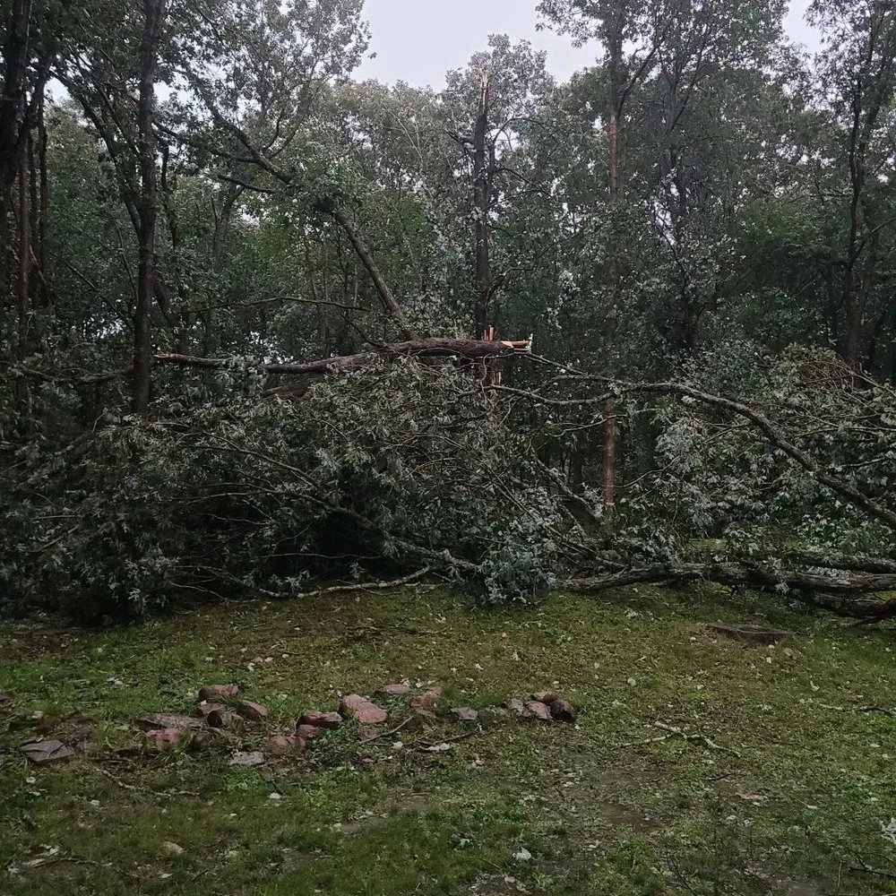 Top-rated lawn care service experts serving Jim Thorpe, PA - Day's Landscaping and Storage Solutions