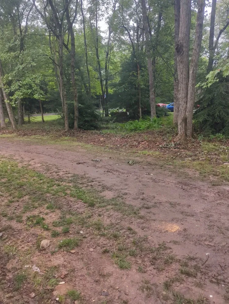 Professional landscape design in Jim Thorpe, PA - Day's Landscaping and Storage Solutions