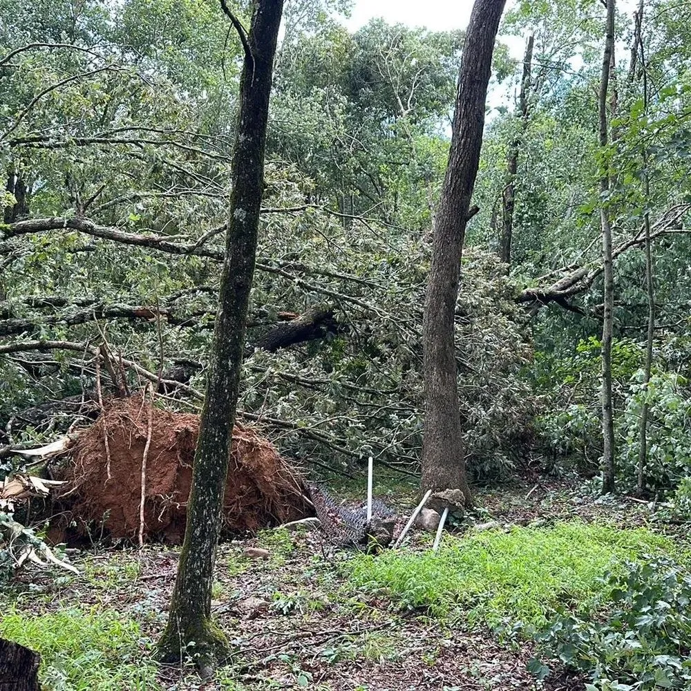 Local lawn care service in Jim Thorpe, PA - Day's Landscaping and Storage Solutions