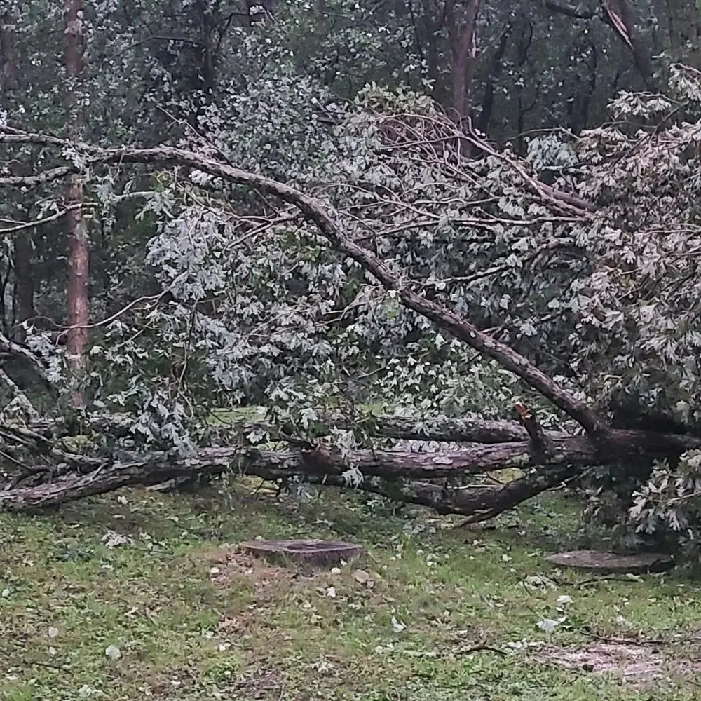 Top-rated lawn care service for outdoor upgrades in Jim Thorpe, PA by Day's Landscaping and Storage Solutions