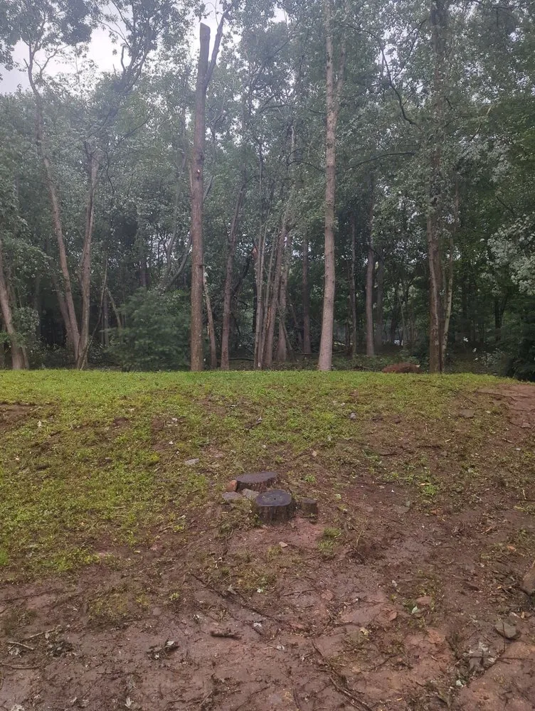 Affordable landscaping services with custom design in Jim Thorpe, PA by Day's Landscaping and Storage Solutions