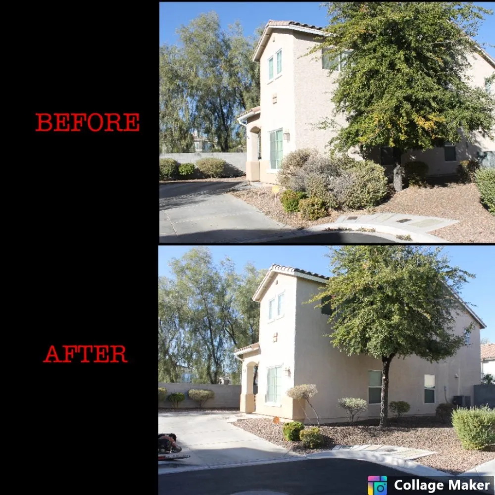 Local lawn care service in North Las Vegas, NV by DAYS Landscaping