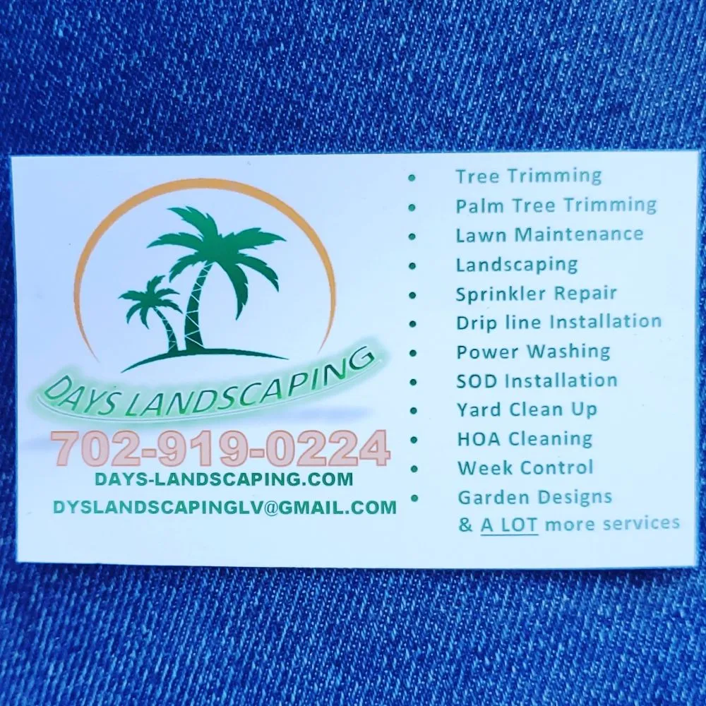 Top-rated residential landscaping in North Las Vegas, NV by DAYS Landscaping