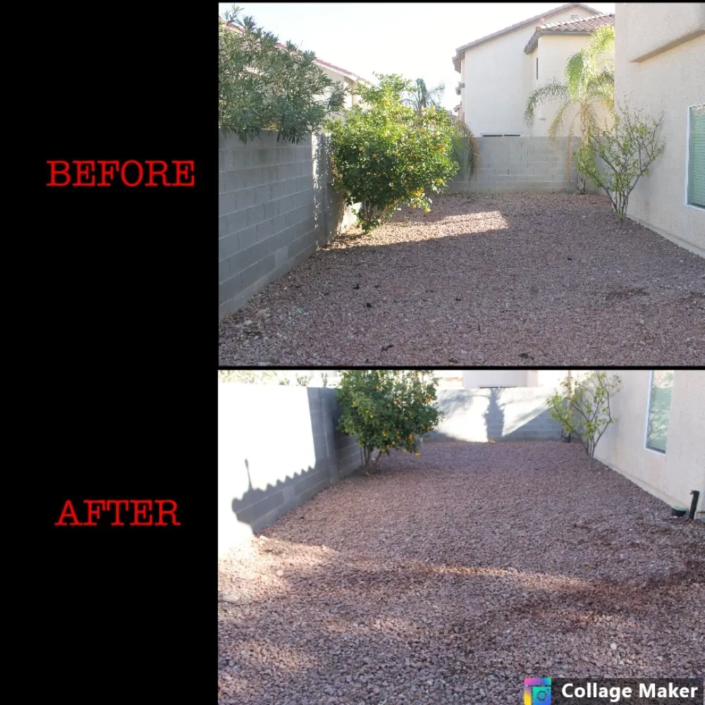 Local yard cleanup service for residential properties across North Las Vegas, NV - DAYS Landscaping