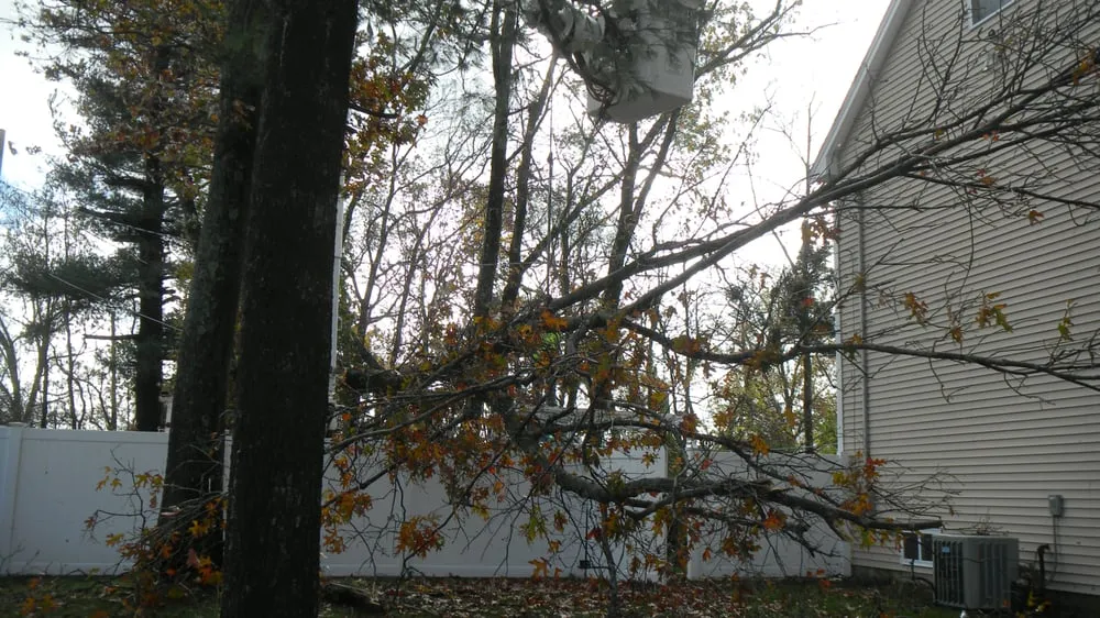 Expert yard maintenance in Salisbury, MA - Days Landscaping