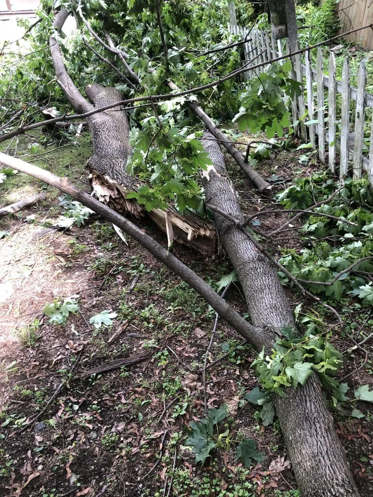 Affordable residential landscaping for outdoor upgrades in Marlboro, NY by Day’s Lawn and Handyman Services