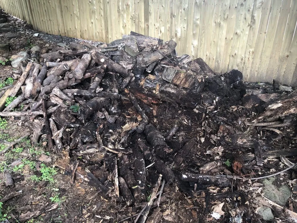 Affordable yard cleanup service for residential properties in Marlboro, NY by Day’s Lawn and Handyman Services