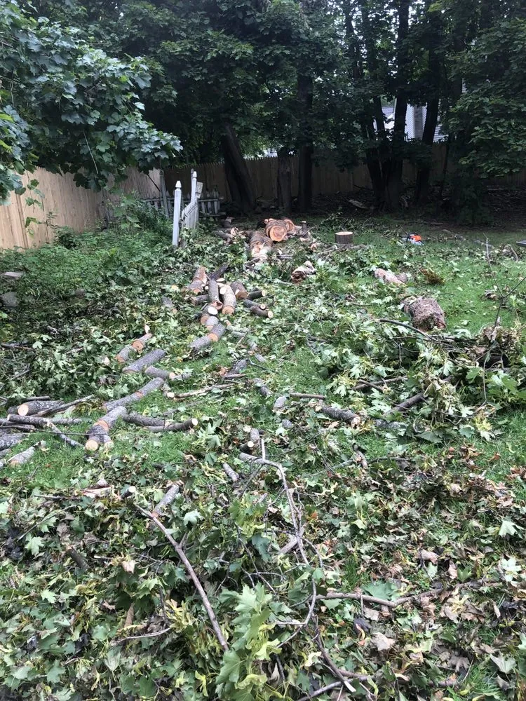 Local yard cleanup service in Marlboro, NY by Day’s Lawn and Handyman Services