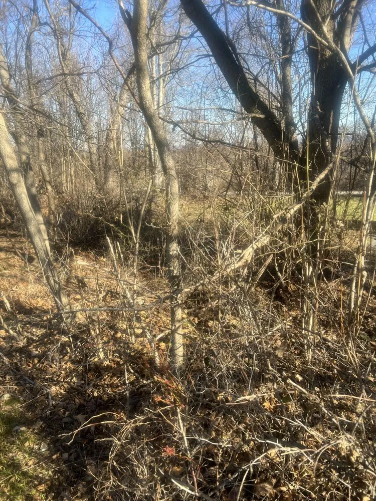 Affordable yard cleanup service in Marlboro, NY by Day’s Lawn and Handyman Services