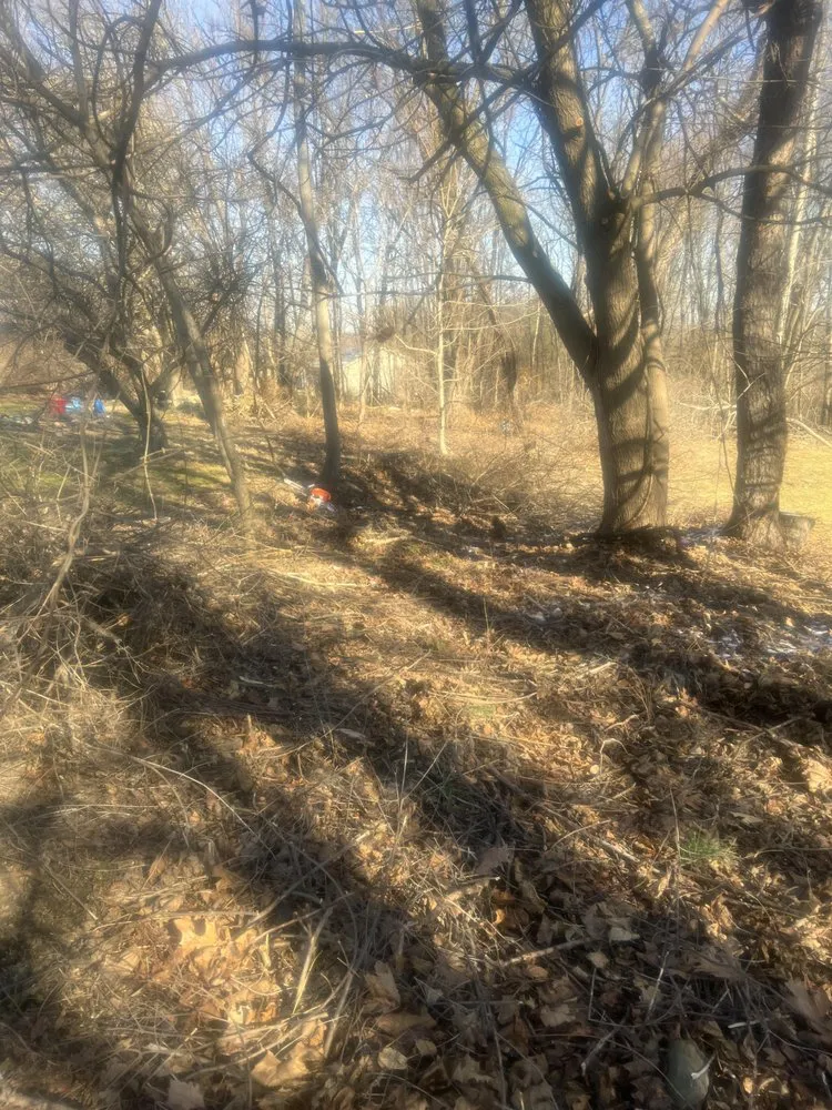 Top-rated landscape design experts serving Marlboro, NY - Day’s Lawn and Handyman Services