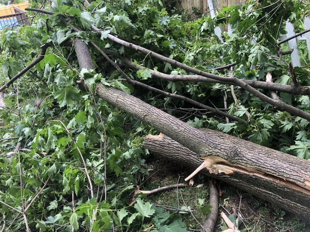 Affordable yard cleanup service in Marlboro, NY - Day’s Lawn and Handyman Services