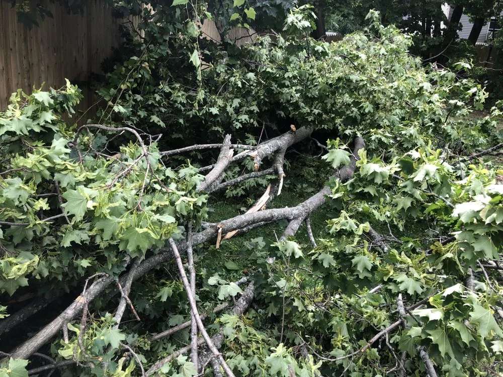 Custom residential landscaping near you in Marlboro, NY by Day’s Lawn and Handyman Services