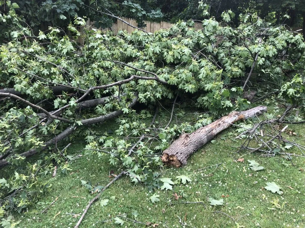 Professional yard cleanup service in Marlboro, NY - Day’s Lawn and Handyman Services