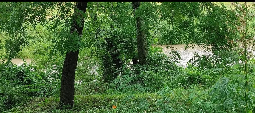 Affordable lawn mowing service in Topeka, KS by Days Mowing